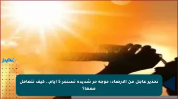 تحذير عاجل من الأرصاد: موجة حر شديدة تستمر 5 أيام.. كيف تتعامل معها؟